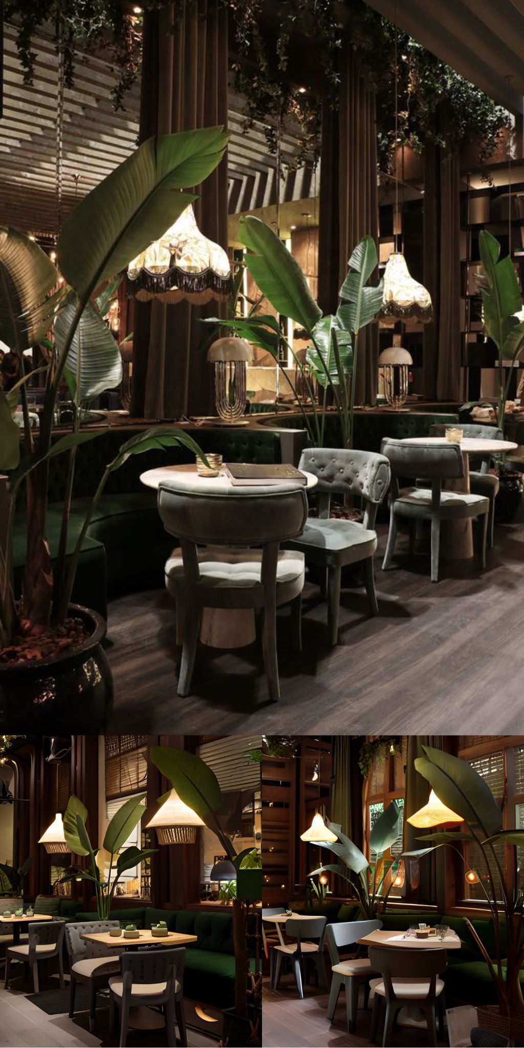 desain ruangan kafe farm house dengan pohon pisang-pisangan ( design interior cafe with giant bird of paradise )