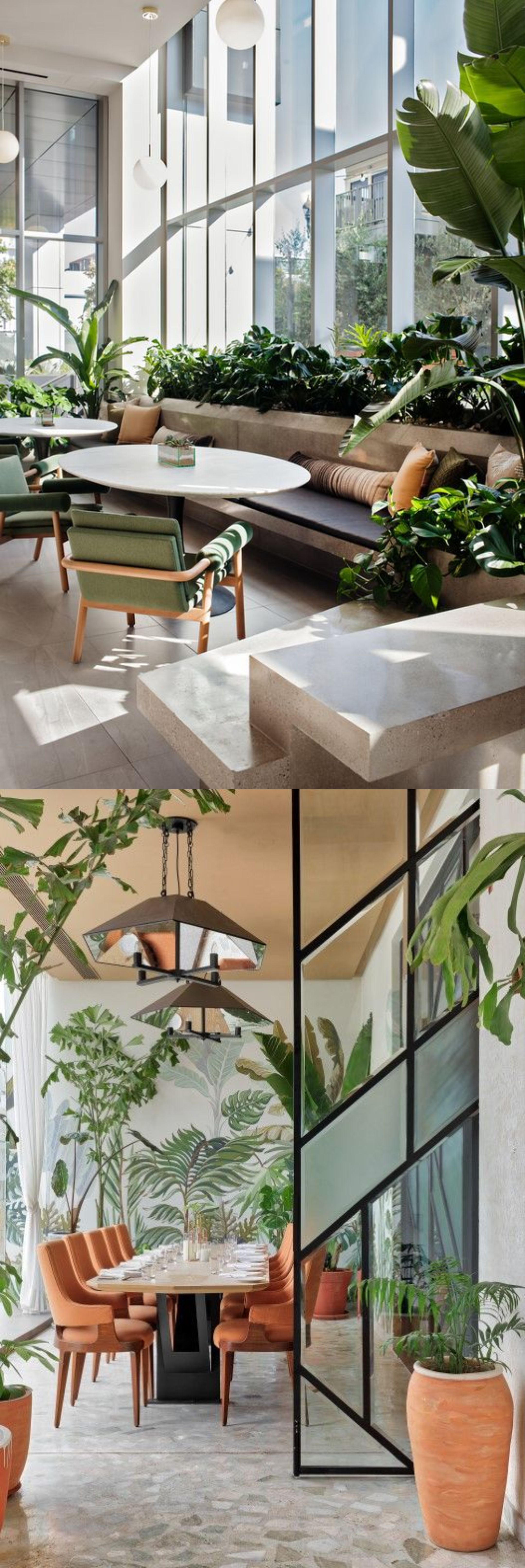 design interior office ( kantor ) office minimalis dengan sentuhan tropis tumbuhan hijau asri 