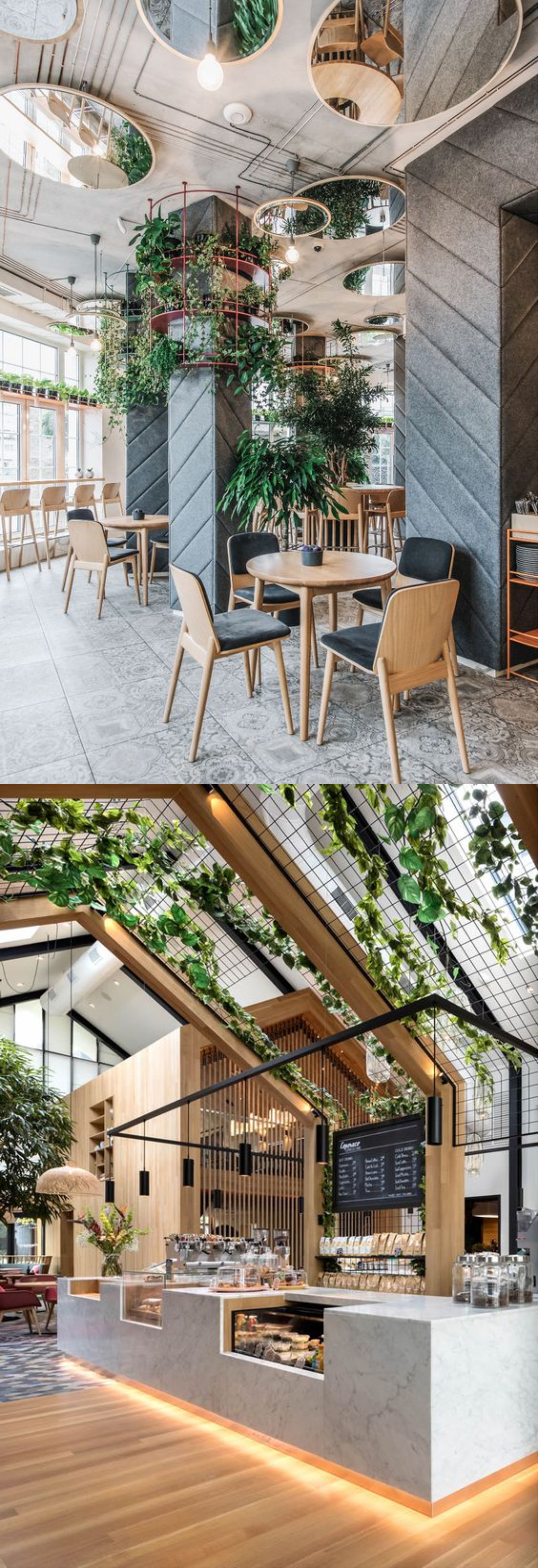 design interior office ( kantor ) office minimalis dengan sentuhan tropis tumbuhan hijau asri 