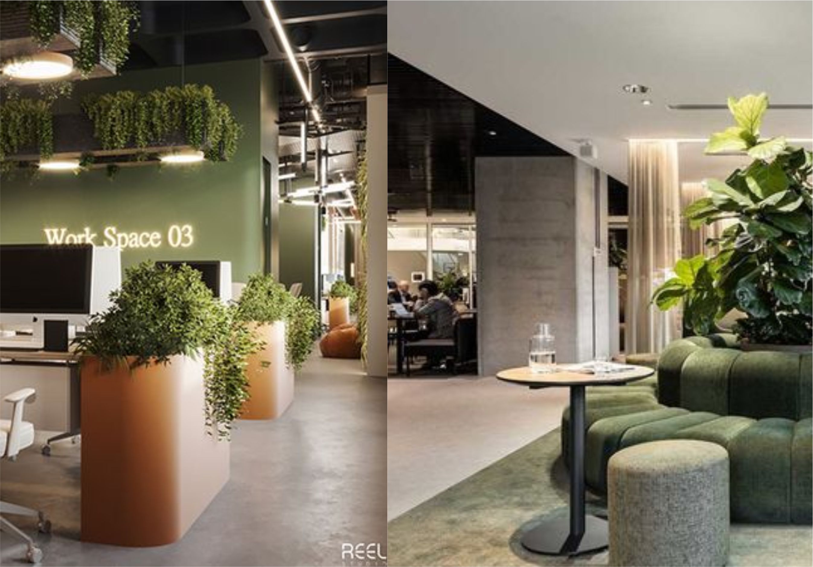 design interior office ( kantor ) office minimalis dengan sentuhan tropis tumbuhan hijau asri 