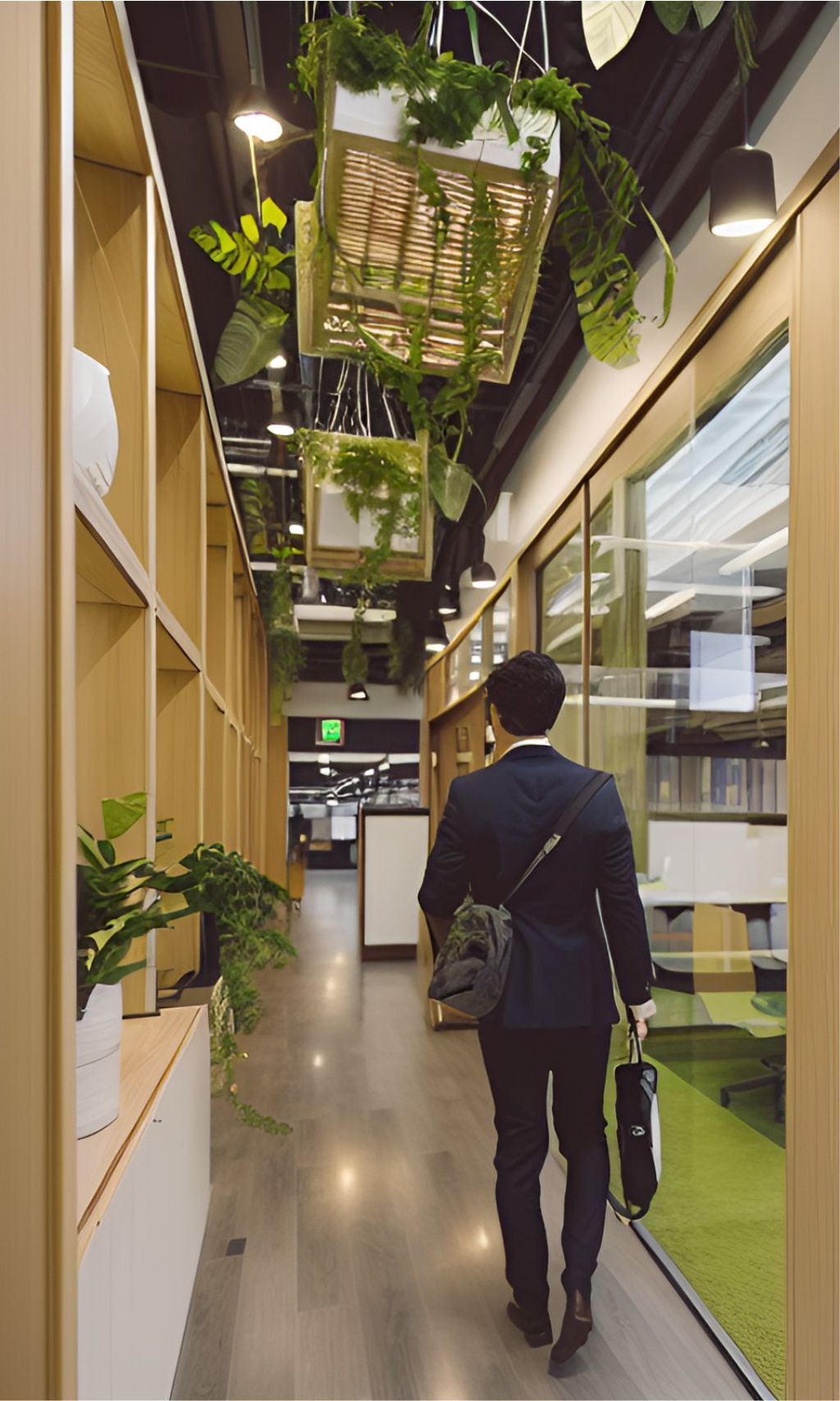 contoh gambar photo desain kantor green house minimalis  ( design interior office green house minimalist )