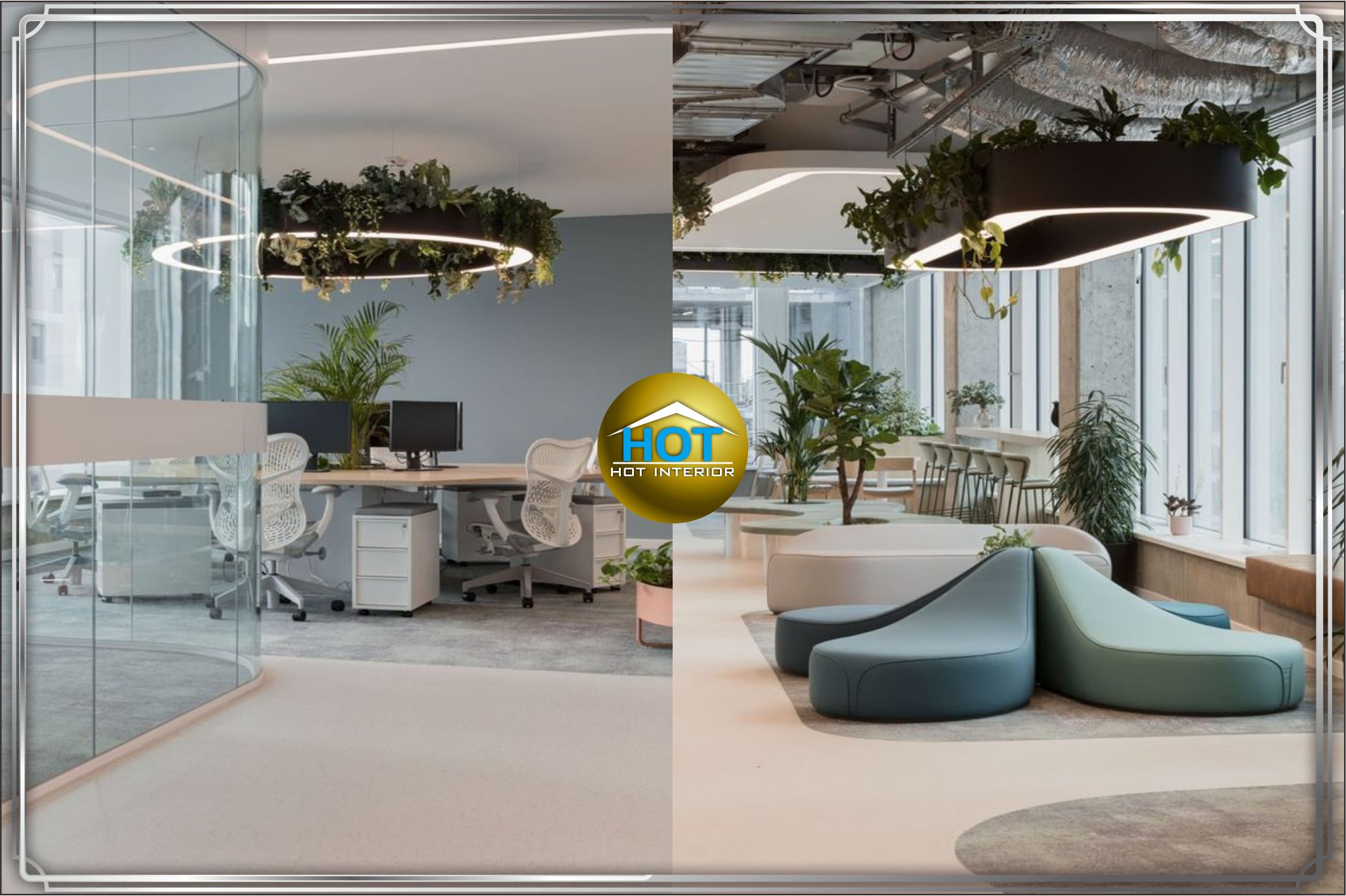 Design interior kantor ( office ) thema warna cool dihiasi dengan sentuhan tumbuhan tropis terbaik di Gambir - Jakarta pusat