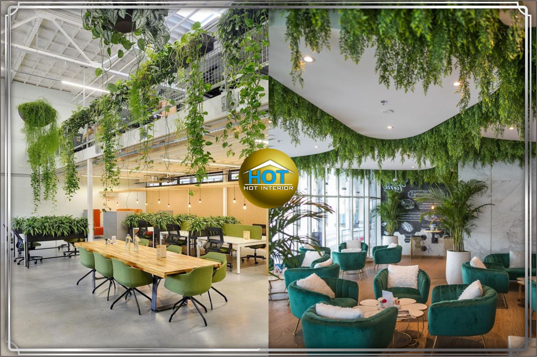 design interior dengan sentuhan tumbuhan tropis hijau sejuk dan asri - kemayoran - jakarta pusat